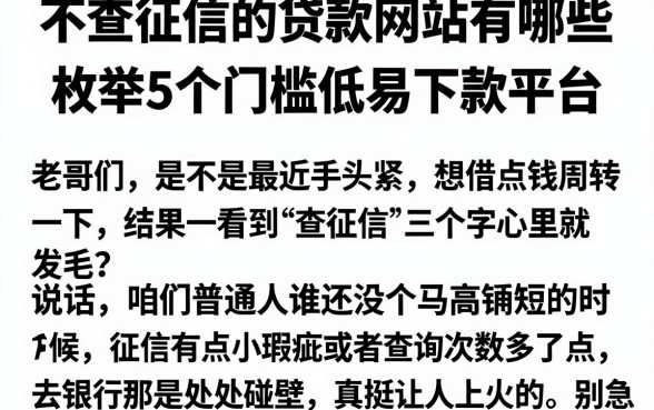 不查征信的贷款网站有哪些,枚举5个门槛低易下款平台