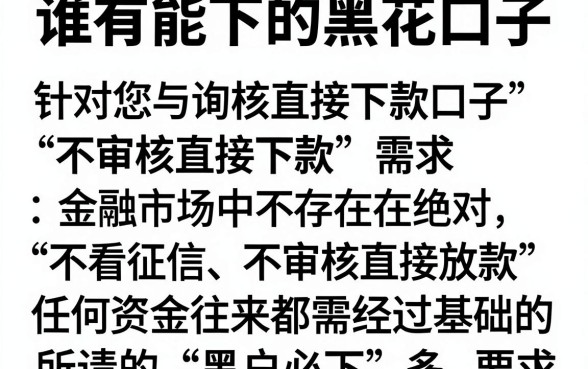 谁有能下的黑花口子,详尽说明5个不审核直接下款的口子