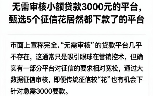 无需审核小额贷款3000元的平台，甄选5个征信花居然都下款了的平台