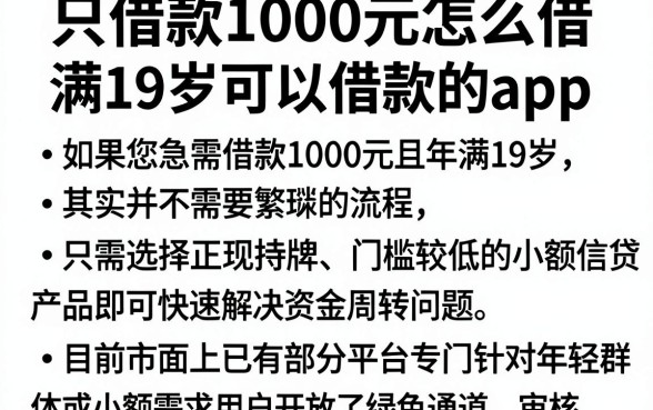 只借款1000元怎么借，归纳五个满19岁可以借款的app