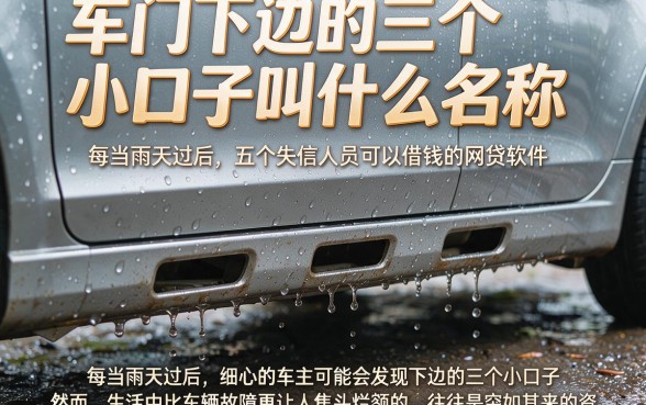 车门下边的三个小口子叫什么名称,热忱推荐五个失信人员可以借钱的网贷软件