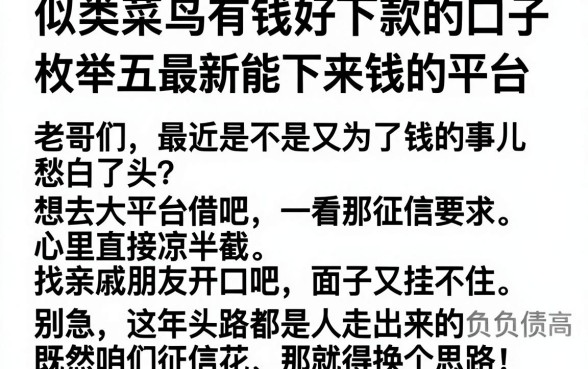 似类菜鸟有钱好下款的口子，枚举五个最新能下来钱的平台