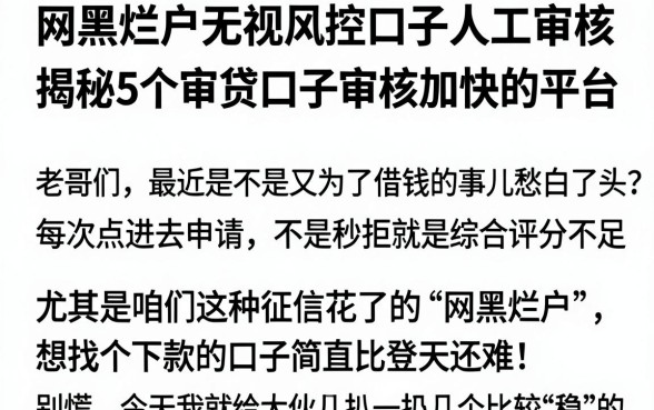 网黑烂户无视风控口子人工审核,揭秘5个审贷口子审核加快的平台