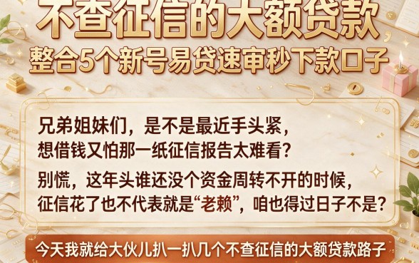 不查征信的大额贷款,整合5个新号易贷速审秒下款口子
