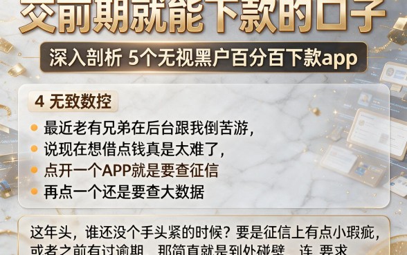 交前期就能下款的口子,深入剖析5个无视黑户百分百下款app