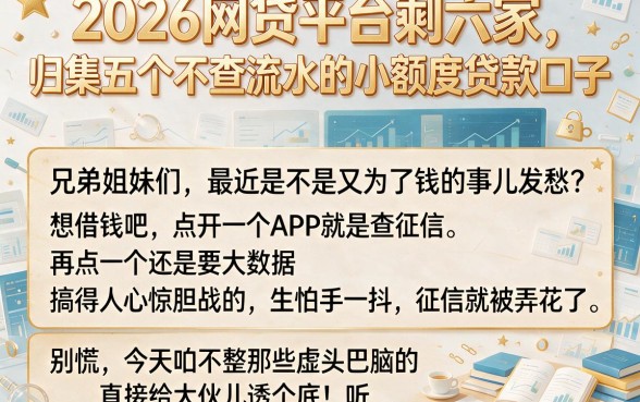 2026网贷平台剩六家,归集五个不查流水的小额度贷款口子
