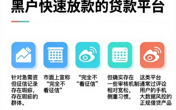 黑户快速放款的贷款平台,陈列5个正规不看征信的小额贷款app