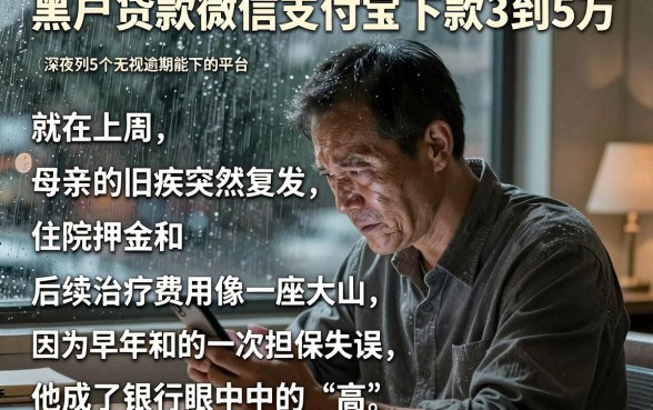 黑户贷款微信支付宝下款3到5万,胪列5个高炮无视逾期能下的平台