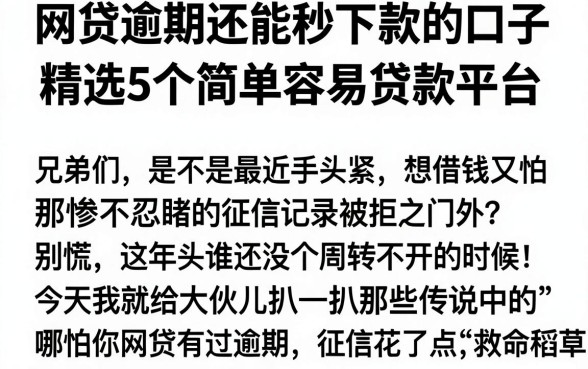 网贷逾期还能秒下款的口子,精选5个简单容易贷款平台
