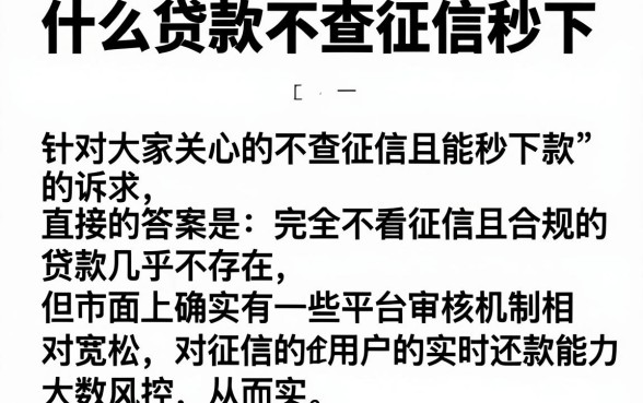 什么贷款不查征信秒下,概括五个不上征信的贷款口子