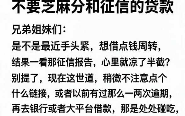 不要芝麻分和征信的贷款,细致阐述五个不看负债查询的平台