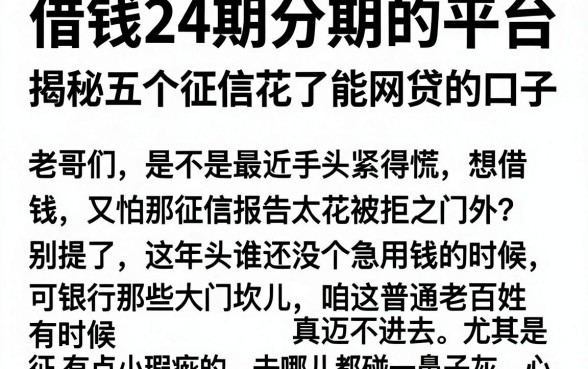 借钱24期分期的平台,揭秘五个征信花了能网贷的口子