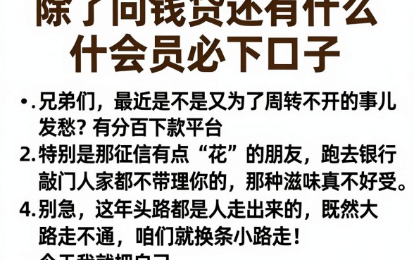除了向钱贷还有什么会员必下口子,罗列5个不看征信负债的网贷百分百下款平台