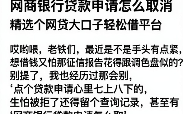 网商银行贷款申请怎么取消，精选五个网贷大口子轻松借平台