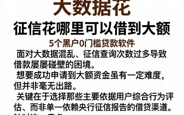 大数据花,征信花哪里可以借到大额,细致阐述5个黑户0门槛贷款软件