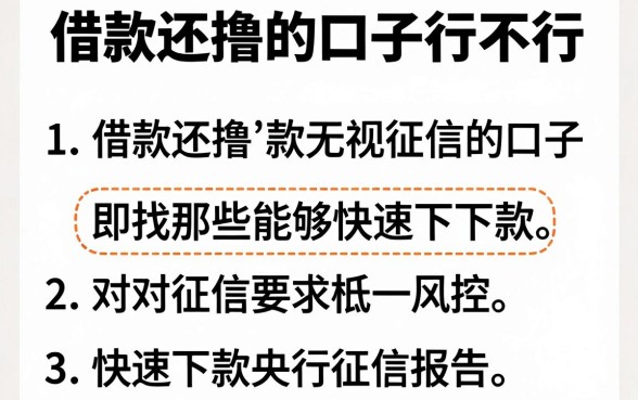 借款还撸的口子行不行，整合5个快速下款无视征信的口子