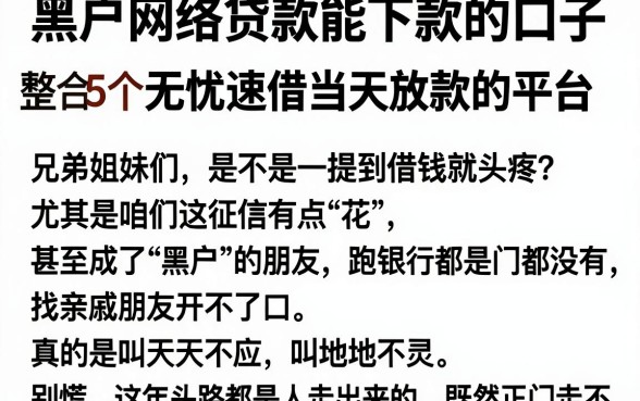 黑户网络贷款能下款的口子,整合5个无忧速借当天放款的平台