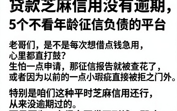 贷款芝麻信用没有逾期,揭秘5个不看年龄征信负债的平台