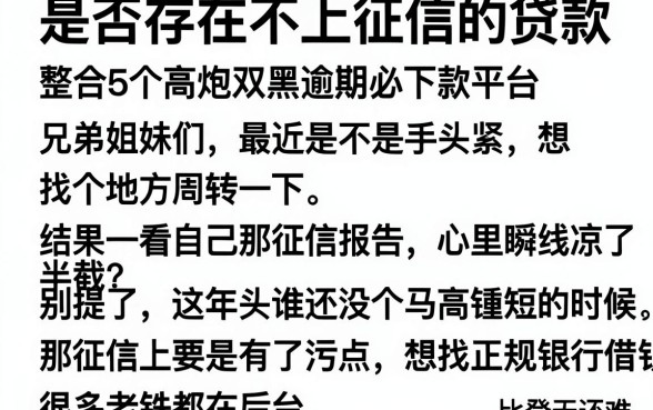 是否存在不上征信的贷款,整合5个高炮双黑逾期必下款平台