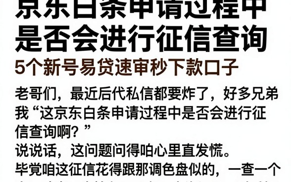 京东白条申请过程中是否会进行征信查询,深入剖析5个新号易贷速审秒下款口子