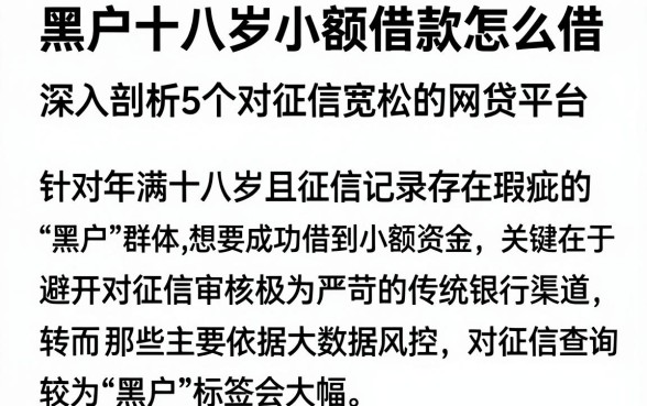 黑户十八岁小额借款怎么借,深入剖析5个对征信宽松的网贷平台