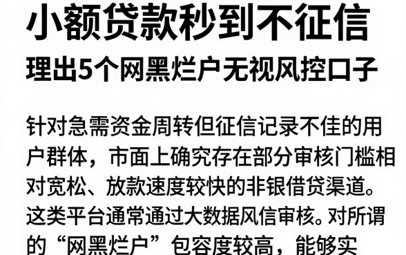 小额贷款秒到不征信,理出5个网黑烂户无视风控口子