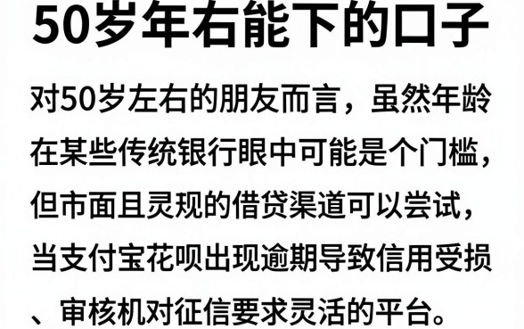 50岁左右能下的口子,归纳5个支付宝花呗逾期万元快速贷款软件