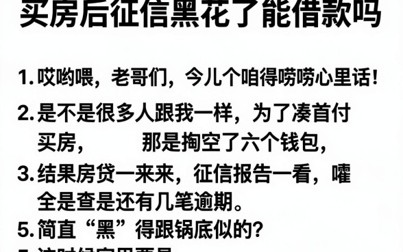 买房后征信黑花了能借款吗,罗列5个逾期太多仍可下款的软件