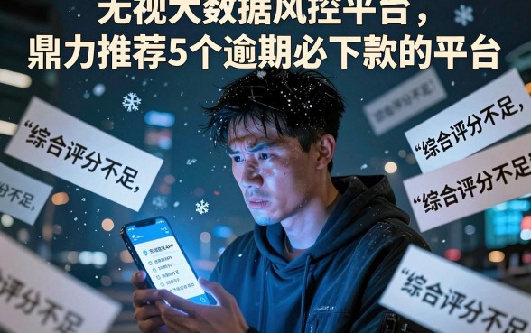 无视大数据风控平台，鼎力推荐5个逾期必下款的平台