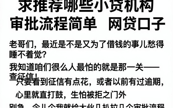 求推荐哪些小贷机构审批流程简单，汇总五个能百分百通过的网贷口子