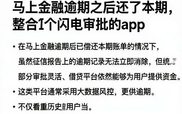 马上金融逾期之后还了本期，整合五个闪电审批的app