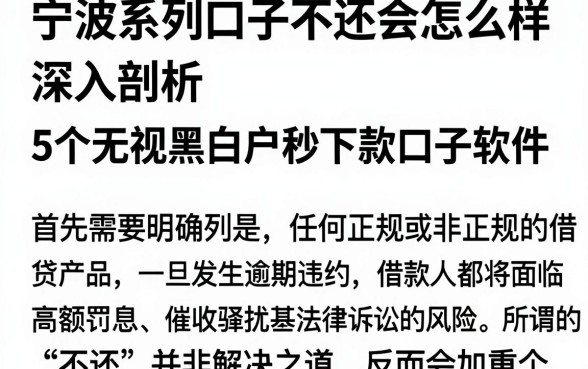 宁波系列口子不还会怎么样,深入剖析5个无视黑白户秒下款口子软件