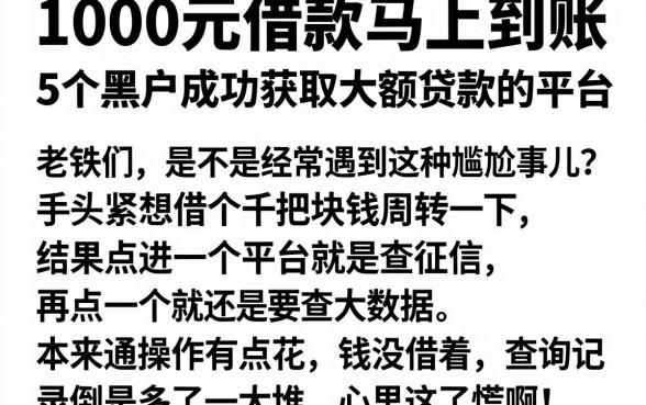 1000元借款马上到账,深入剖析5个黑户成功获取大额贷款的平台