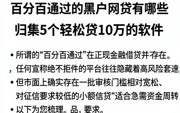 百分百通过的黑户网贷有哪些,归集5个轻松贷10万的软件