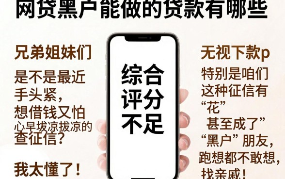 网贷黑户能做的贷款有哪些,整合五个无视征信好下款的借款app