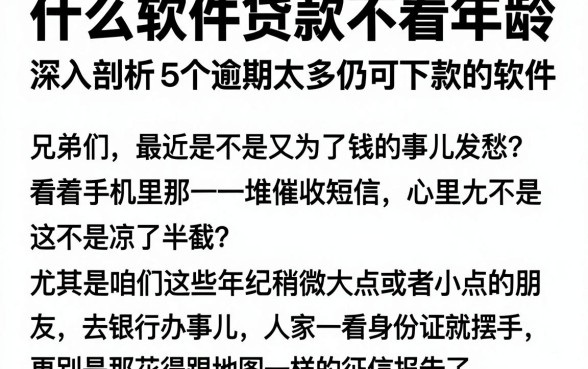 什么软件贷款不看年龄,深入剖析5个逾期太多仍可下款的软件