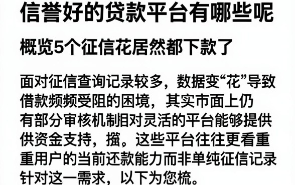 信誉好的贷款平台有哪些呢,概览5个征信花居然都下款了的平台