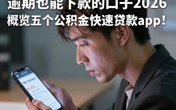 逾期也能下款的口子2026，概览五个公积金快速贷款app