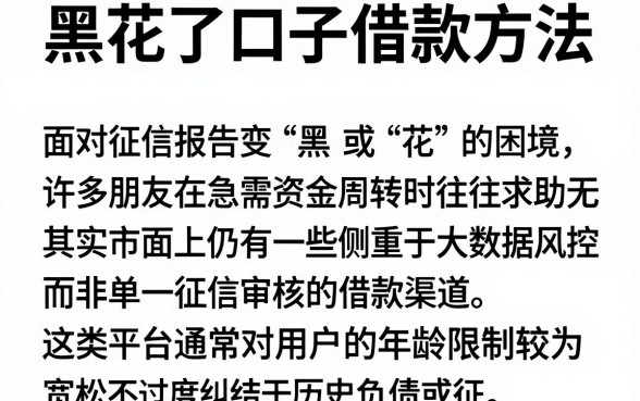 黑花了口子借款方法，概览5个不看年龄征信负债的软件