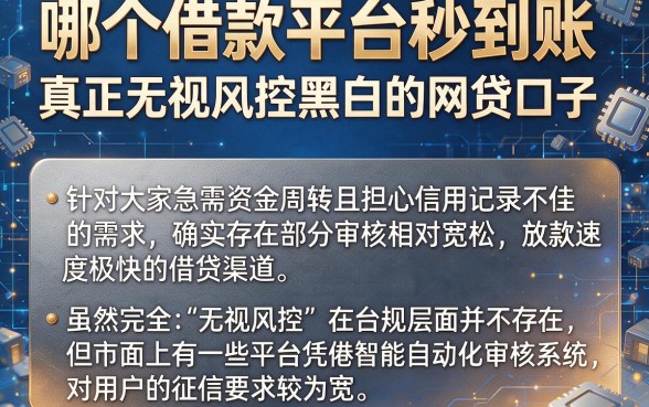 哪个借款平台秒到账，概括五个真正无视风控黑白的网贷口子