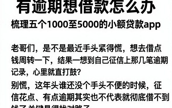 有逾期想借款怎么办,梳理五个1000至5000的小额贷款app