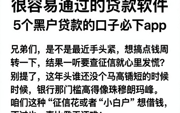 很容易通过的贷款软件,枚举5个黑户贷款的口子必下app
