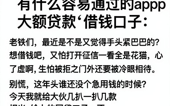 有什么容易通过的大额贷款app，细致阐述五个值得信赖的借钱口子