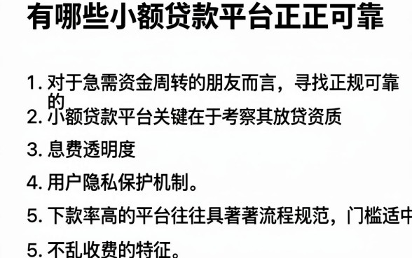 有哪些小额贷款平台正规可靠,条列5个比较靠谱的借钱app