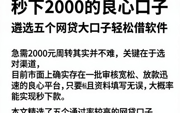 秒下2000的良心口子，遴选五个网贷大口子轻松借软件