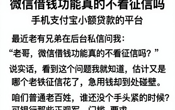 微信借钱功能真的不看征信吗,归纳五个手机支付宝小额贷款的平台