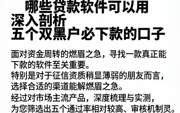 哪些贷款软件可以用,深入剖析五个双黑户必下款的口子