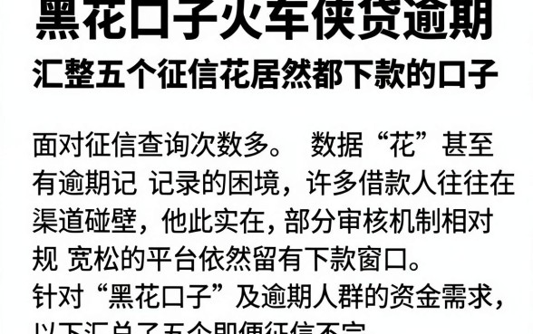 黑花口子火车侠贷逾期,汇整五个征信花居然都下款的口子