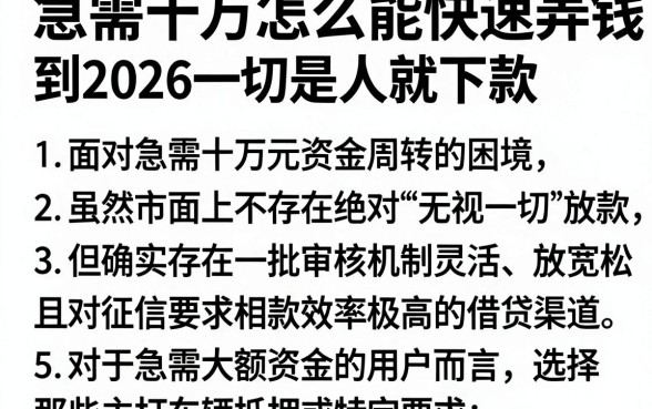 急需十万怎么能快速弄到2026年的钱,枚举5个无视一切是人就下款