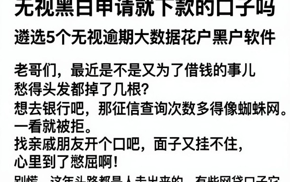 无视黑白申请就下款的口子吗,遴选5个无视逾期大数据花户黑户软件